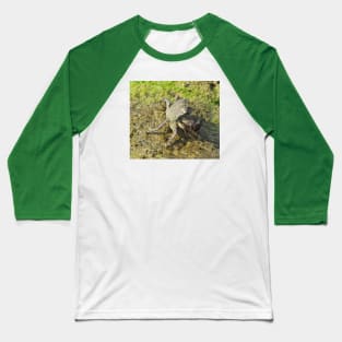 Crab photo. Baseball T-Shirt